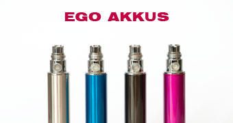 eGo Akkus