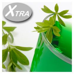 Xtra Waldmeister e-Liquid (10ml)