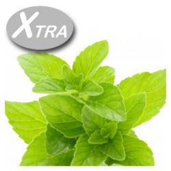 Xtra Grüne Minze e-Liquid Skysmoker (10ml)