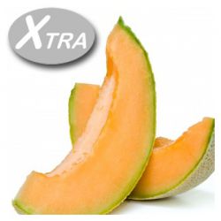 Xtra Honigmelone e-Liquid (10ml)