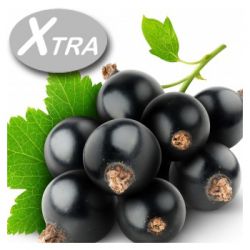 Xtra Cassis Fresh e-Liquid (10ml)