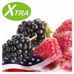 Xtra Boysenbeere e-Liquid (10ml)